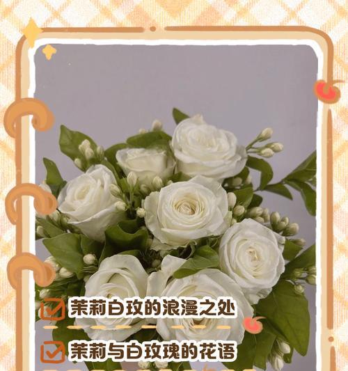 番茉莉的花语是什么？它在花卉中传递了哪些信息？