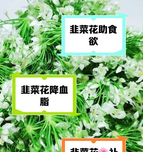 白色韭莲花语代表什么？白色韭莲花语的含义是什么？