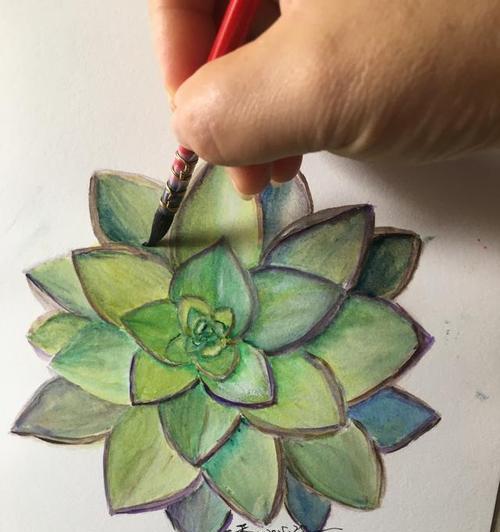 大和锦的花语有何寓意？大和锦花语的深层含义是什么？