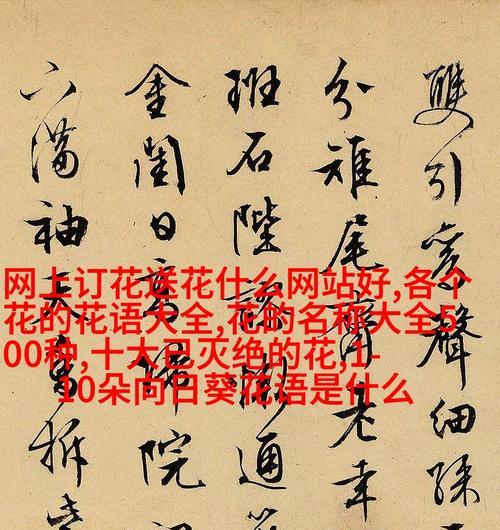 花语城市花卉代表什么？花语城市花卉的含义是什么？