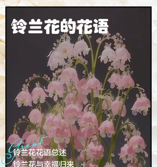 幸福之花花语有何寓意？幸福之花花语的象征意义有哪些？