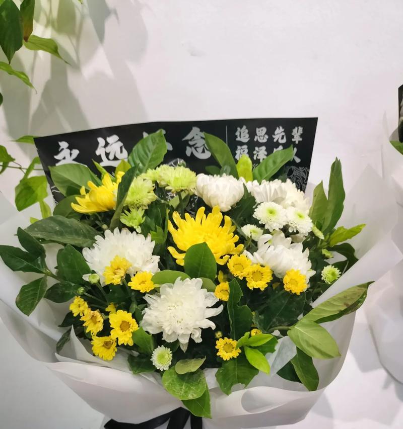 白菊花的花语是什么？白菊花传递了哪些信息？