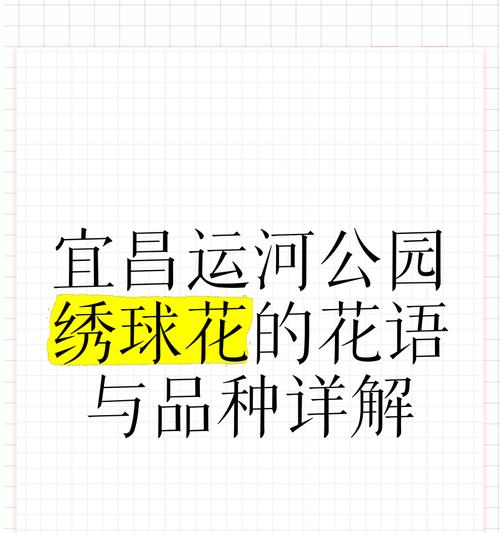 绣球花得花语有哪些？绣球花的花语代表了什么？