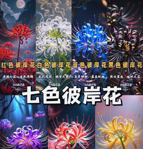 各花花语介绍是什么？如何理解不同花朵的花语？