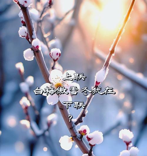 白雪光的花语代表什么？白雪光的花语有何深意？