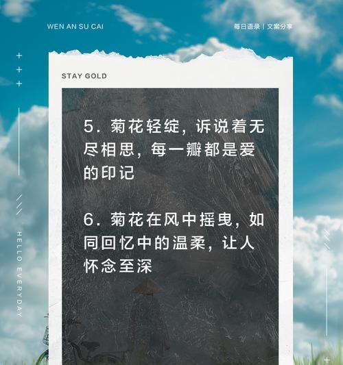 扣扣菊花花语代表什么？