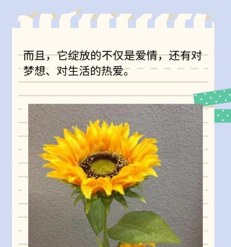 快乐花语的花是什么？