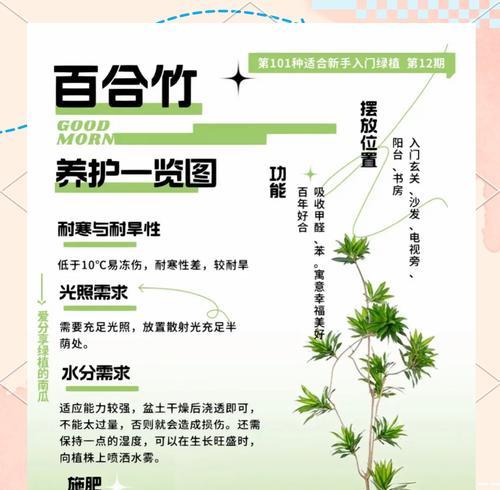吉祥竹的花语代表什么？
