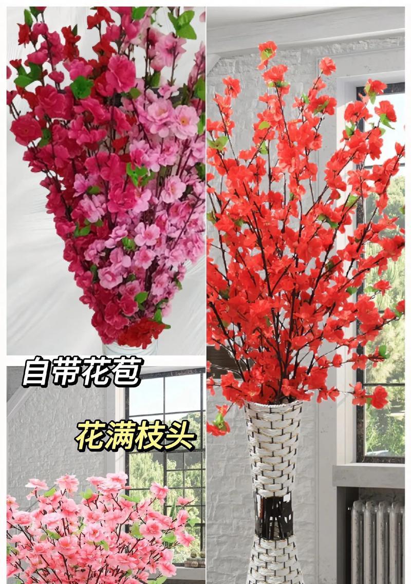 红梅怎么养？红梅花的养殖方法和注意事项有哪些？