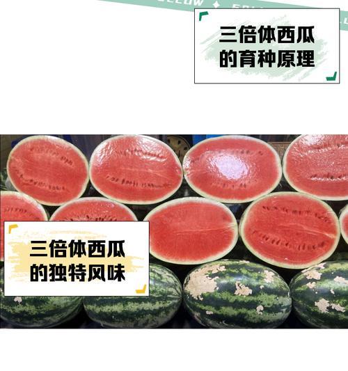 西瓜的繁殖方式有哪些？哪种繁殖方法最有效？