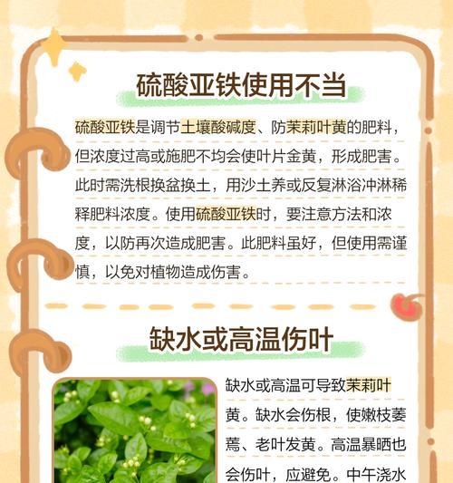 茉莉烂根的处理方法和预防措施是什么？