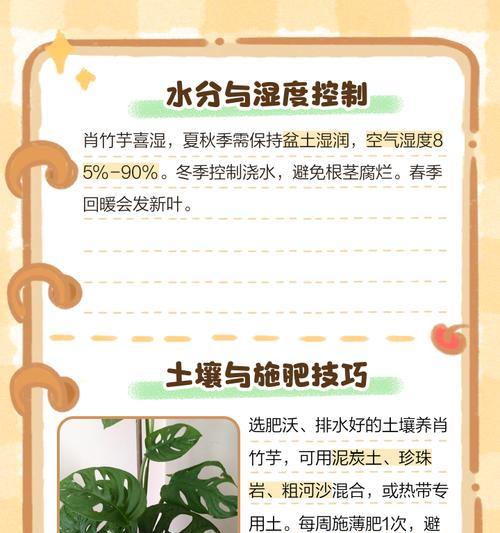 竹芋的养殖方法是什么？如何保持竹芋的叶色鲜亮？