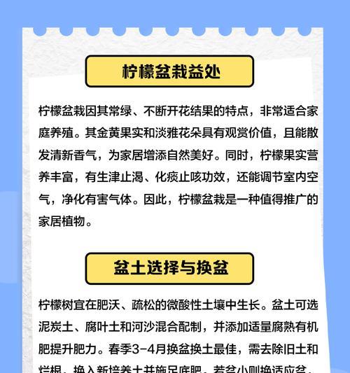 柠檬树盆栽的养护技巧是什么？