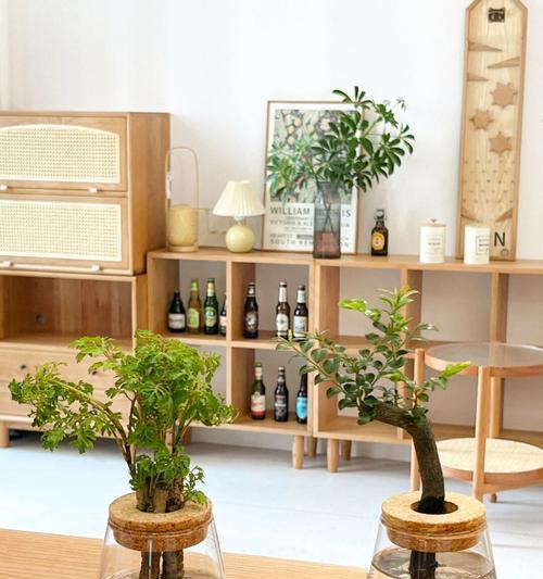 水培植物的步骤和注意事项有哪些？