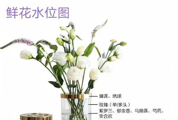花卉的繁殖方法有哪些？哪种最适合初学者？
