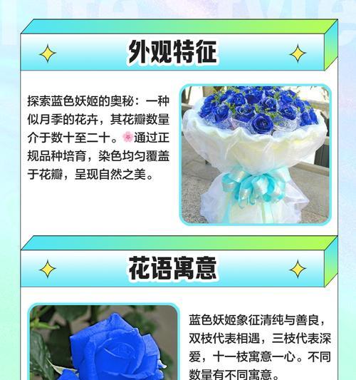蓝玫瑰的种植步骤是什么？