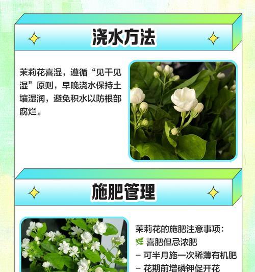 茉莉浇水的正确频率和技巧是什么？