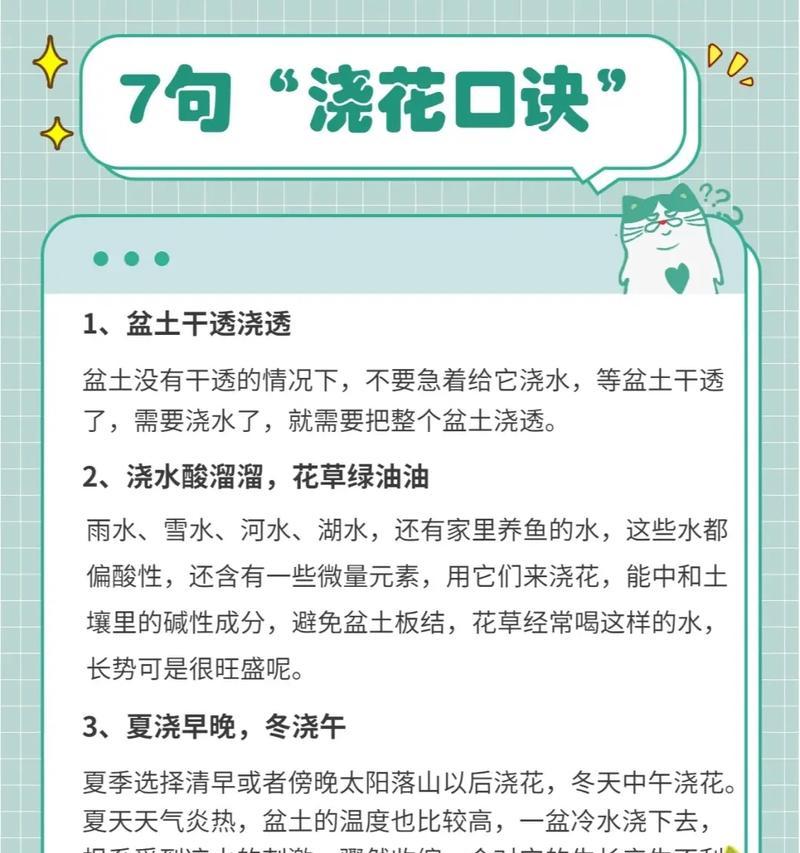 花种子发芽后如何养护？发芽后的花卉需要哪些特别照顾？