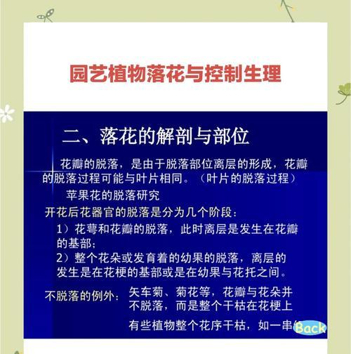 花瓣有哪些用途？如何巧妙利用花瓣？