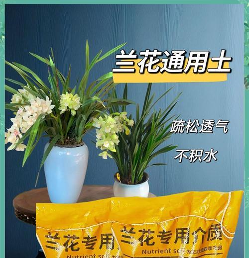 种植土的配制方法和比例是什么？
