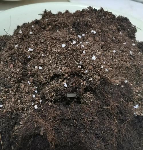 种植土的配制方法和比例是什么？