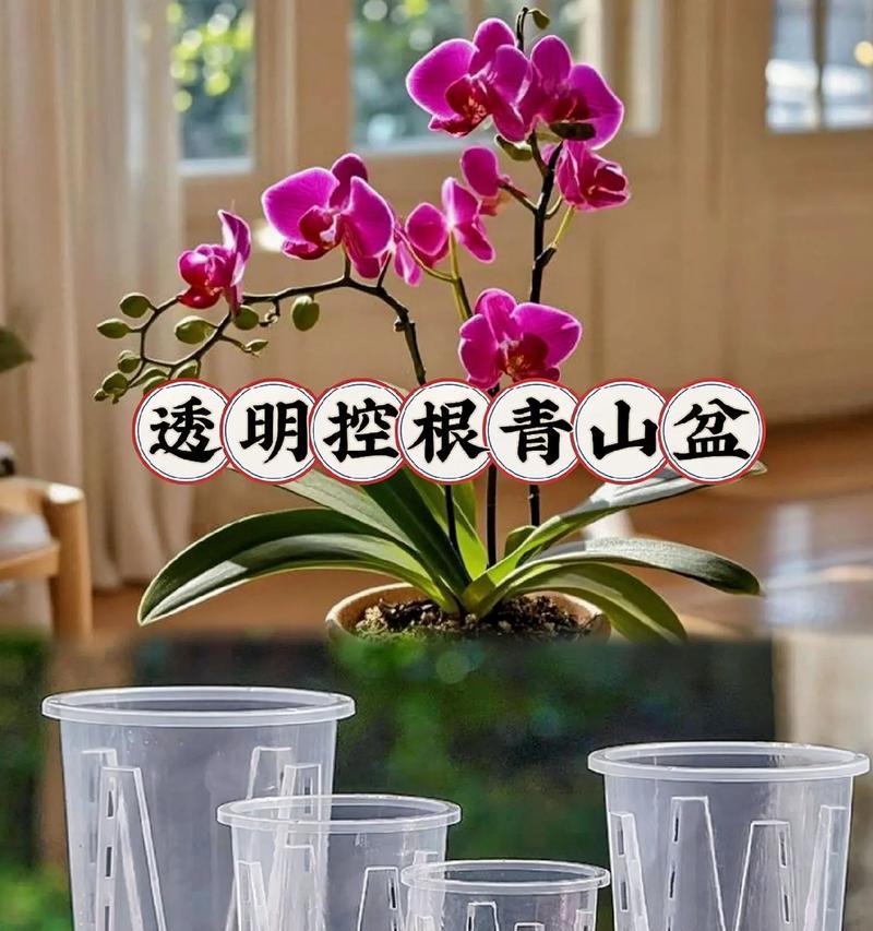 哪种花盆最透气？透气花盆的选择标准和好处是什么？