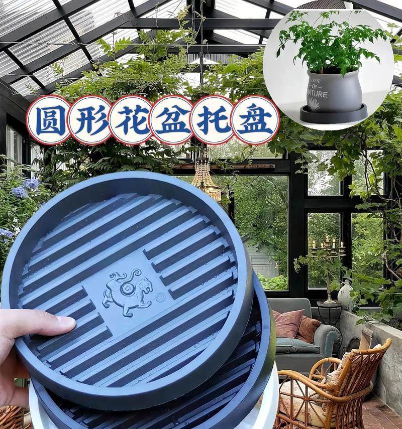 哪种花盆最透气？透气花盆的选择标准和好处是什么？