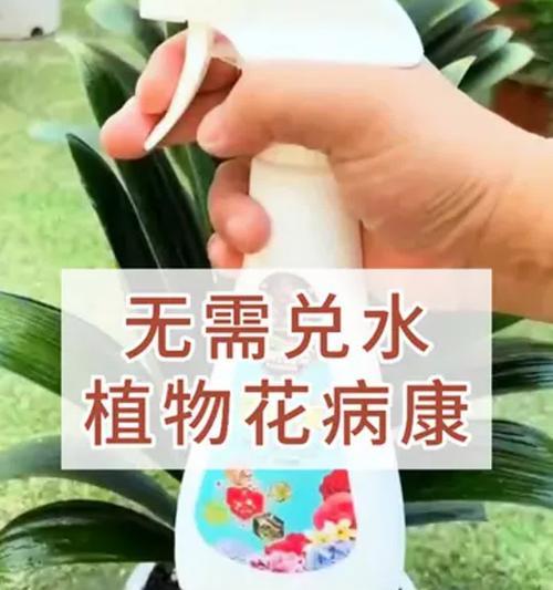 养植物时常见的问题有哪些？