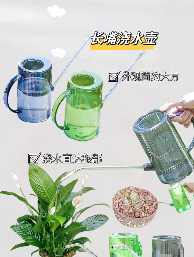植物浇水的正确方法和注意事项是什么？