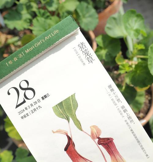 花笼植物的养护技巧有哪些？如何避免花笼植物的常见问题？