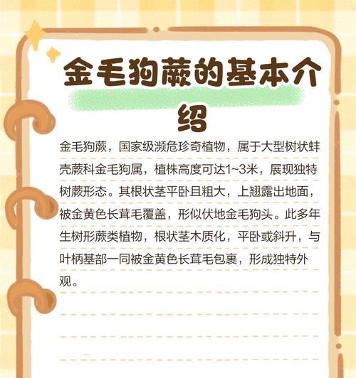 金毛狗蕨的养护技巧是什么？