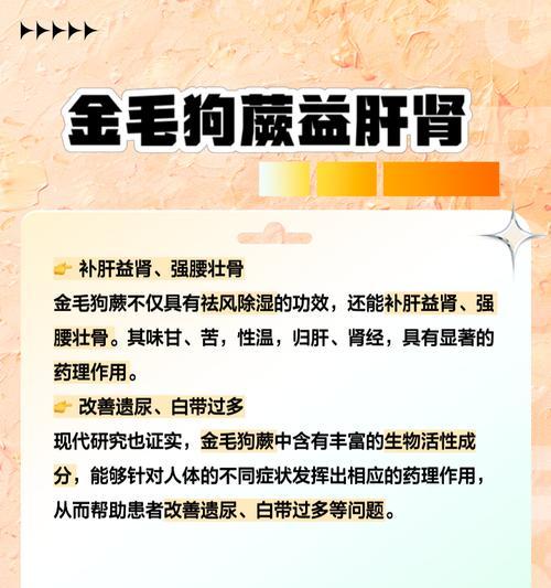 金毛狗蕨的养护技巧是什么？