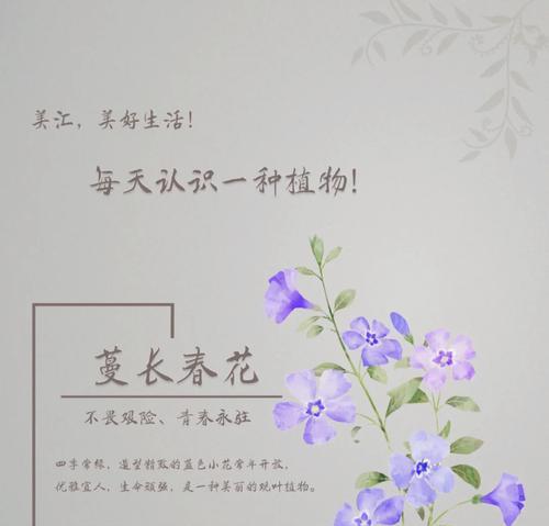 蔓长春花的养殖方法是什么？