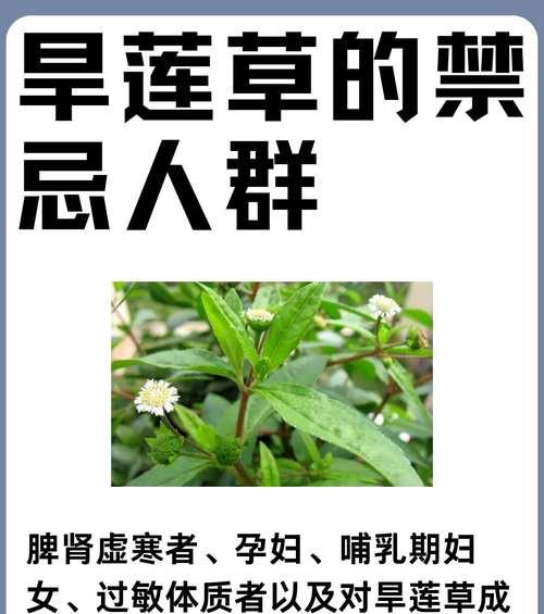 旱莲种植方法是什么？