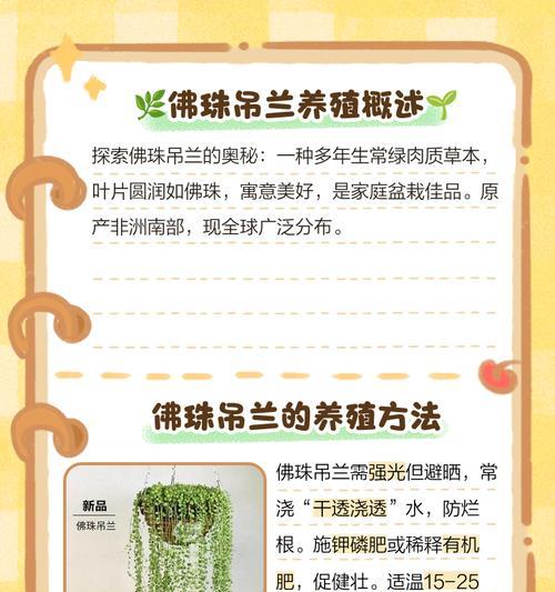 吊兰的养殖方法和常见问题解答？