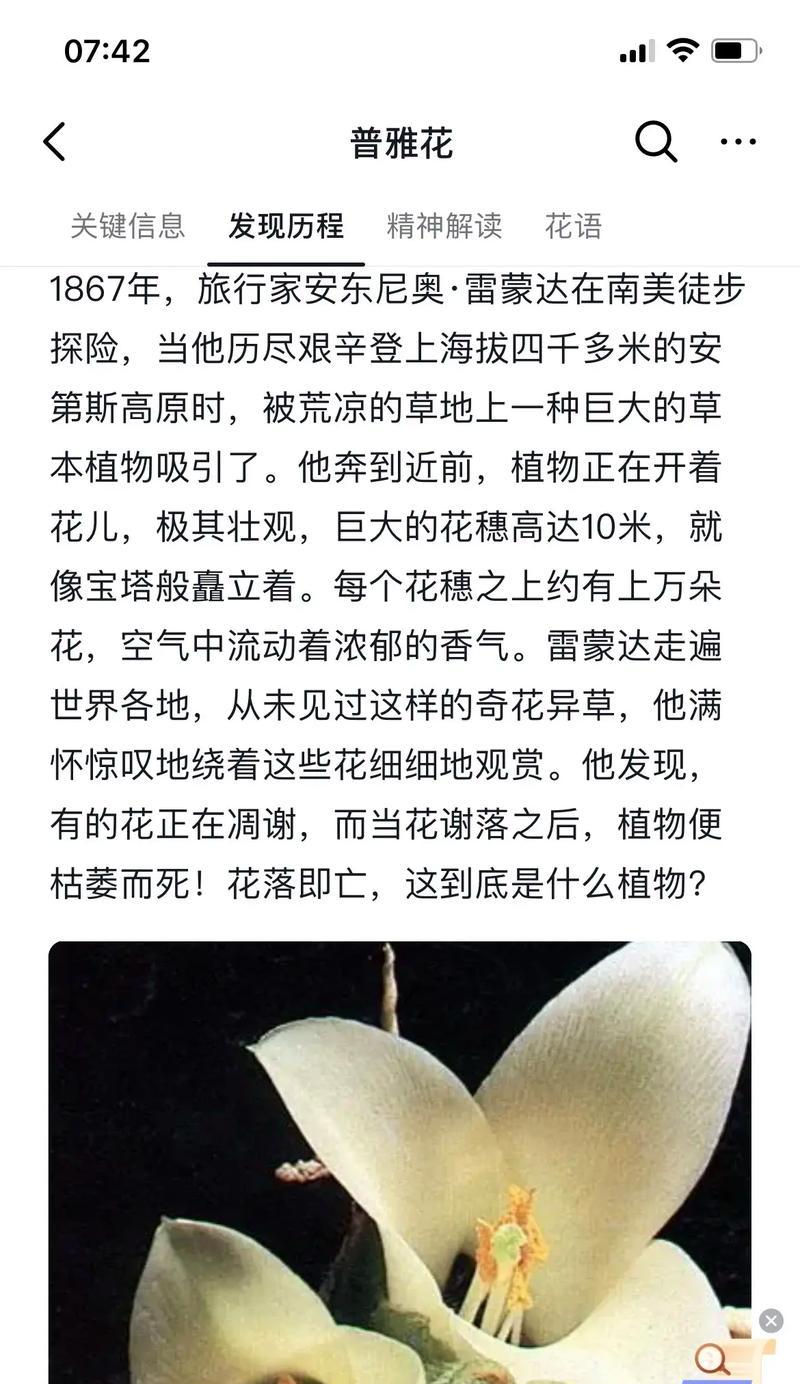 什么花象征着什么意思？花卉的寓意是什么？