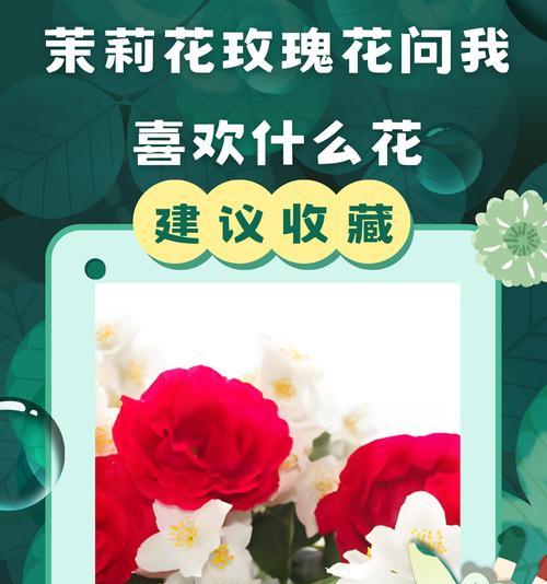 什么花象征着什么意思？花卉的寓意是什么？