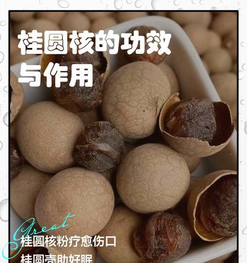 桂圆核种植盆栽的方法是什么？如何确保桂圆核顺利发芽？