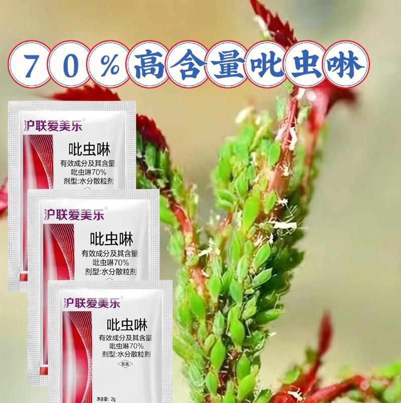 小黑飞的防治方法有哪些？