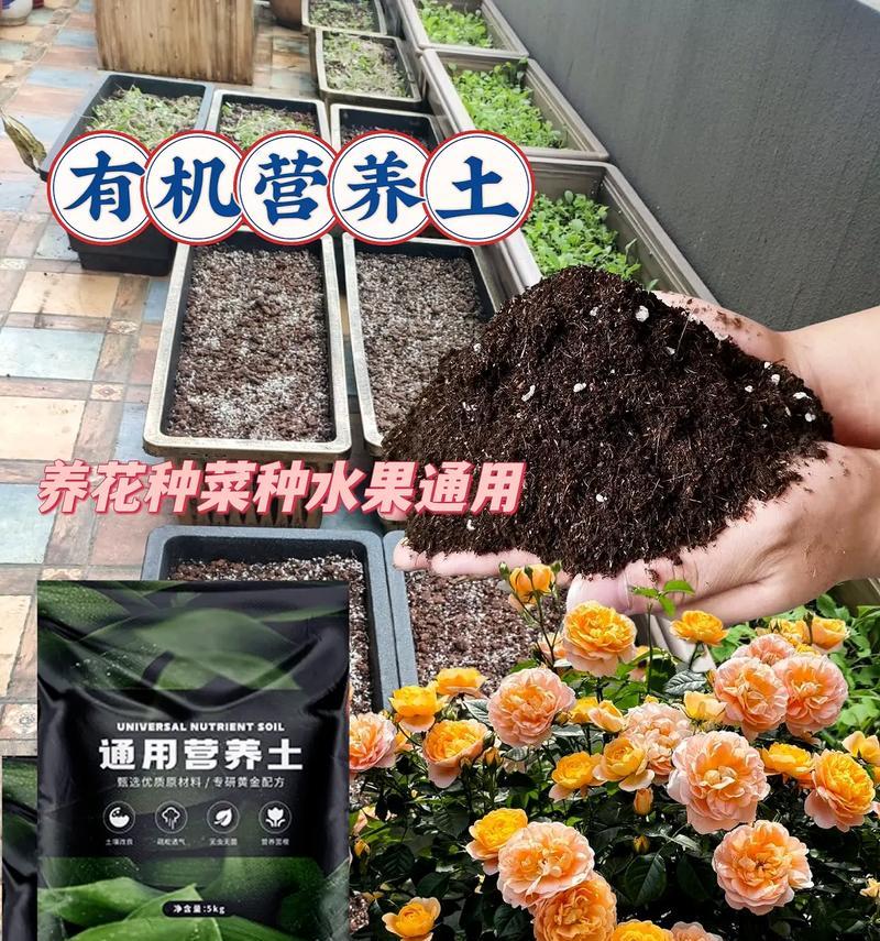 室内养花用什么土？室内花卉种植的土壤选择和配制方法是什么？