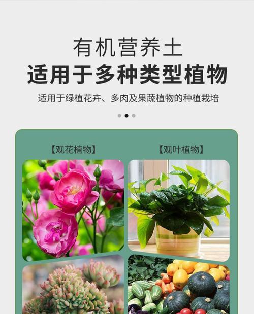 室内养花用什么土？室内花卉种植的土壤选择和配制方法是什么？