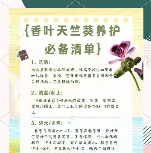 垂吊天竺葵的养殖技巧和注意事项有哪些？