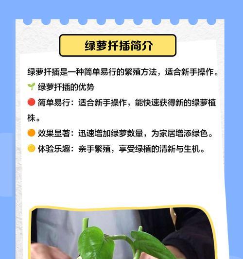 绿萝整形的正确步骤是什么？