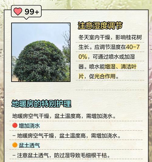 金桂的浇水方法是什么？