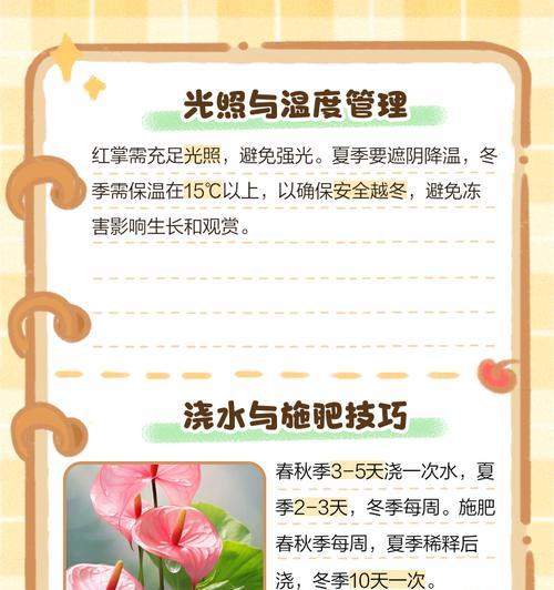 红掌冬季浇水的注意事项是什么？
