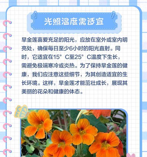旱金莲怎么播种？旱金莲的播种技巧有哪些？
