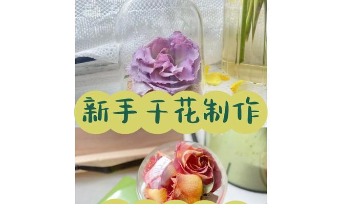 百合制作干花的步骤是什么？