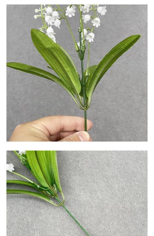 百合制作干花的步骤是什么？
