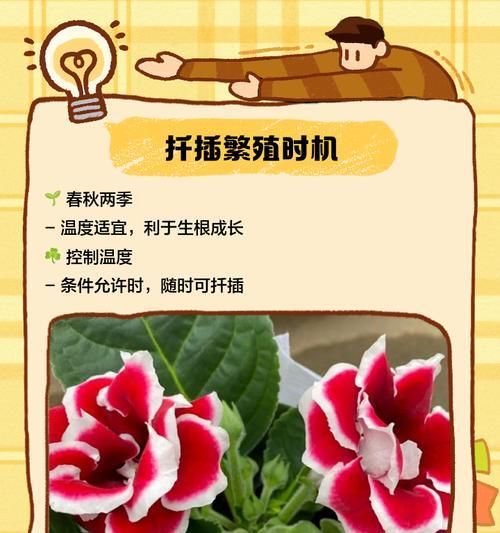大岩桐叶子萎蔫的原因及解决办法？