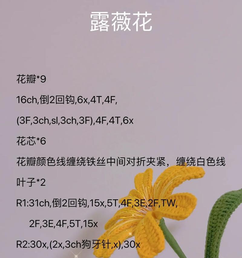 露薇花繁殖的步骤是什么？怎样才能提高成功率？